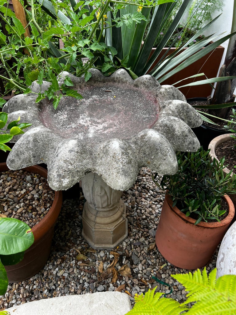 Vintage Concrete Flower Petal Birdbath on Fluted Pedestal