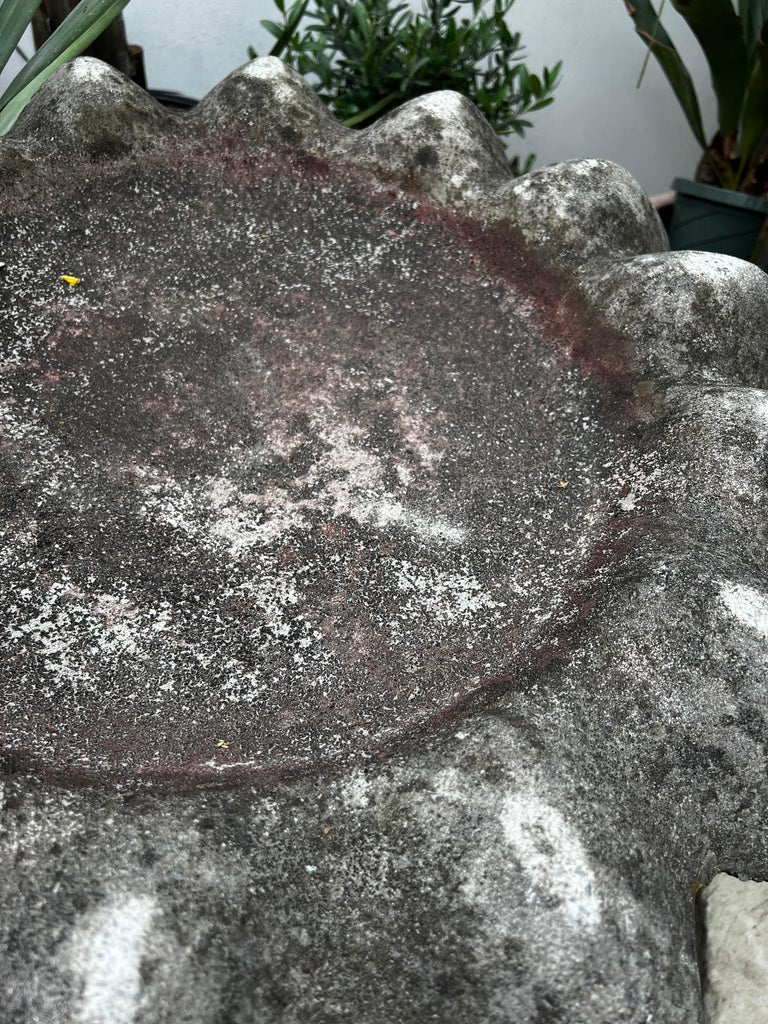 Vintage Concrete Flower Petal Birdbath on Fluted Pedestal