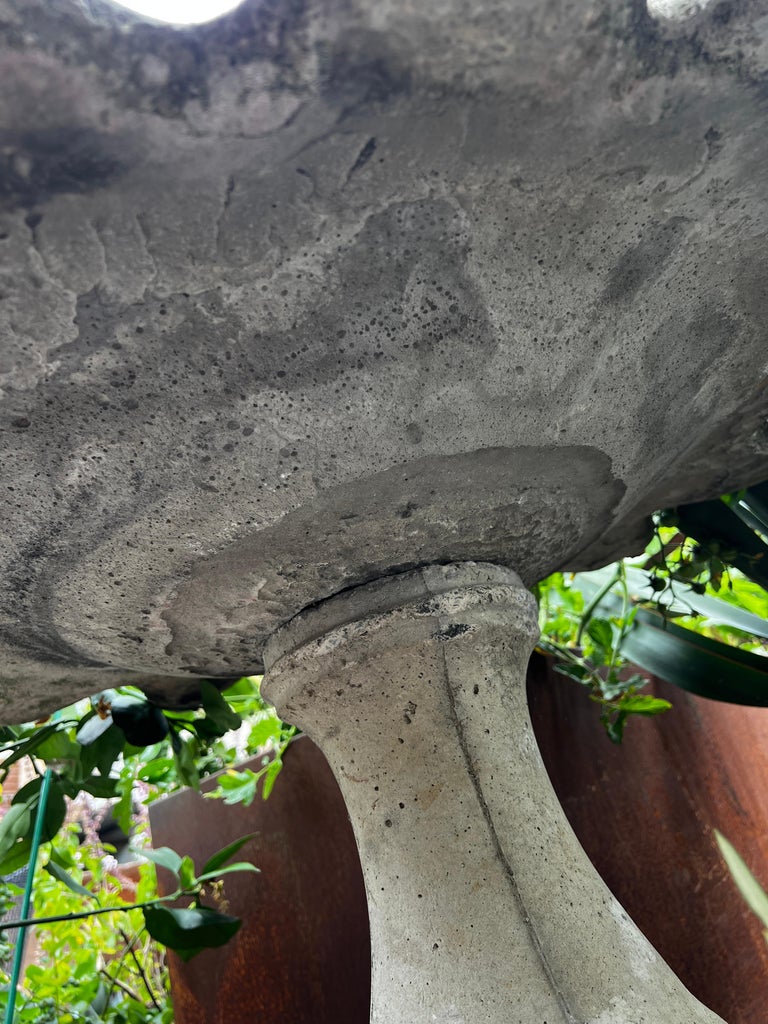 Vintage Concrete Flower Petal Birdbath on Fluted Pedestal