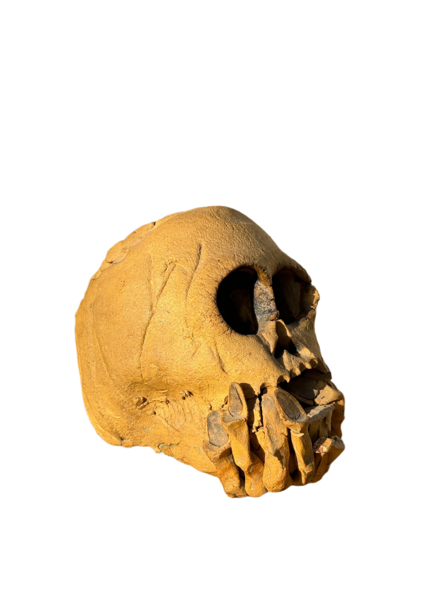 Ceramic skull - Candle holder