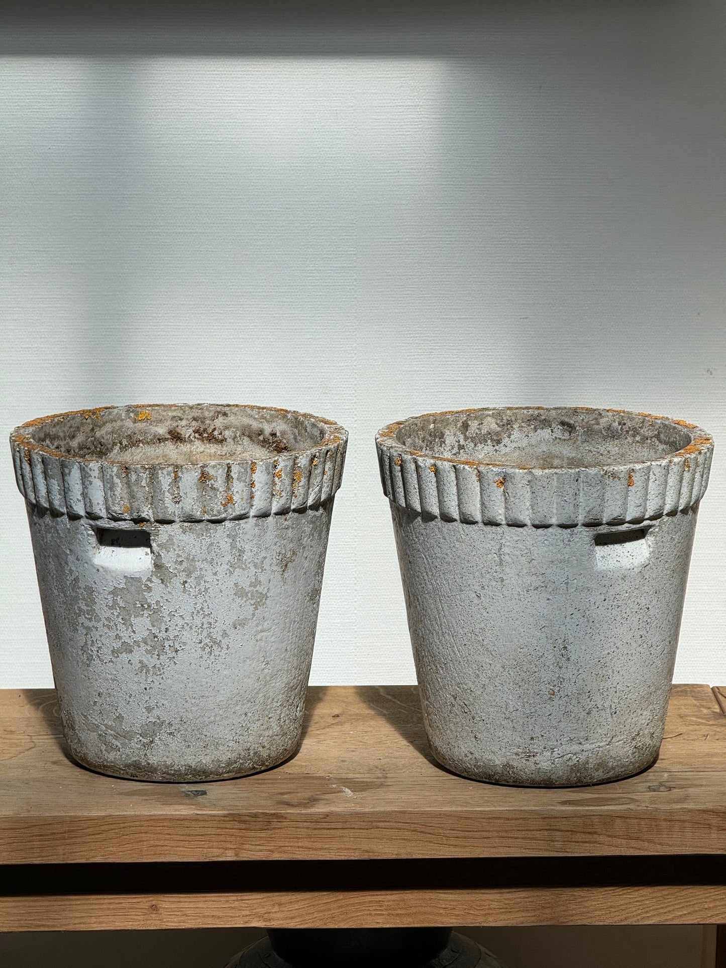 Willy Guhl Flower Pot