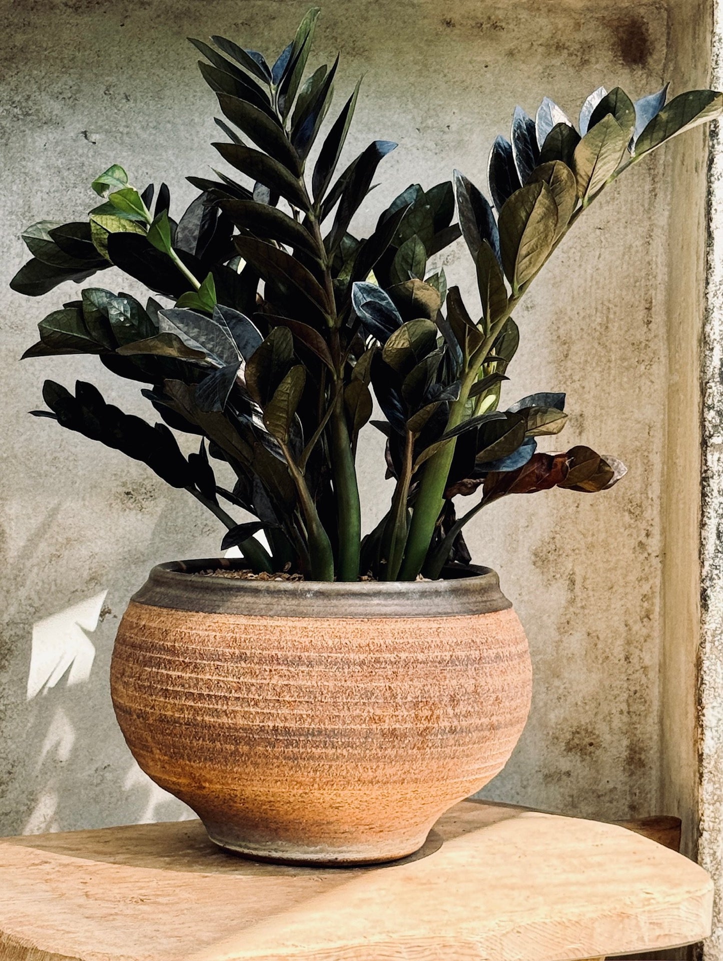 Round Brown Bob Kinzie Planter