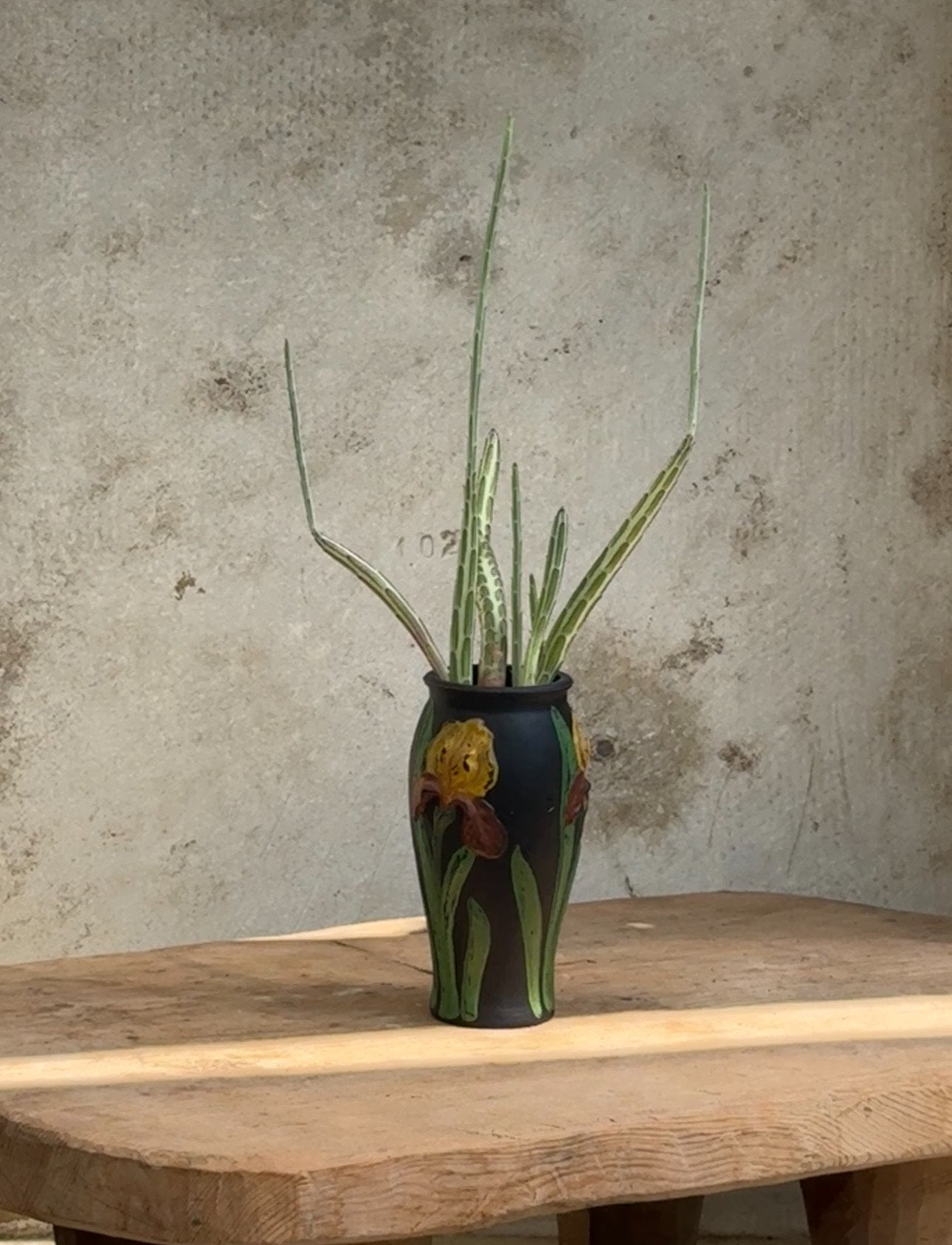 Spider Cactus in Black Vase with Floral Motif