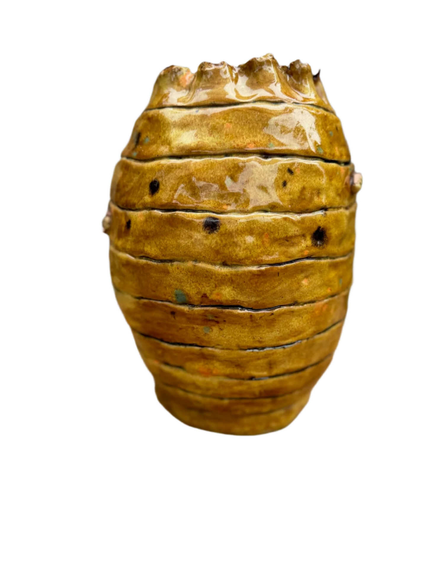Bee Hive Ceramic Jar