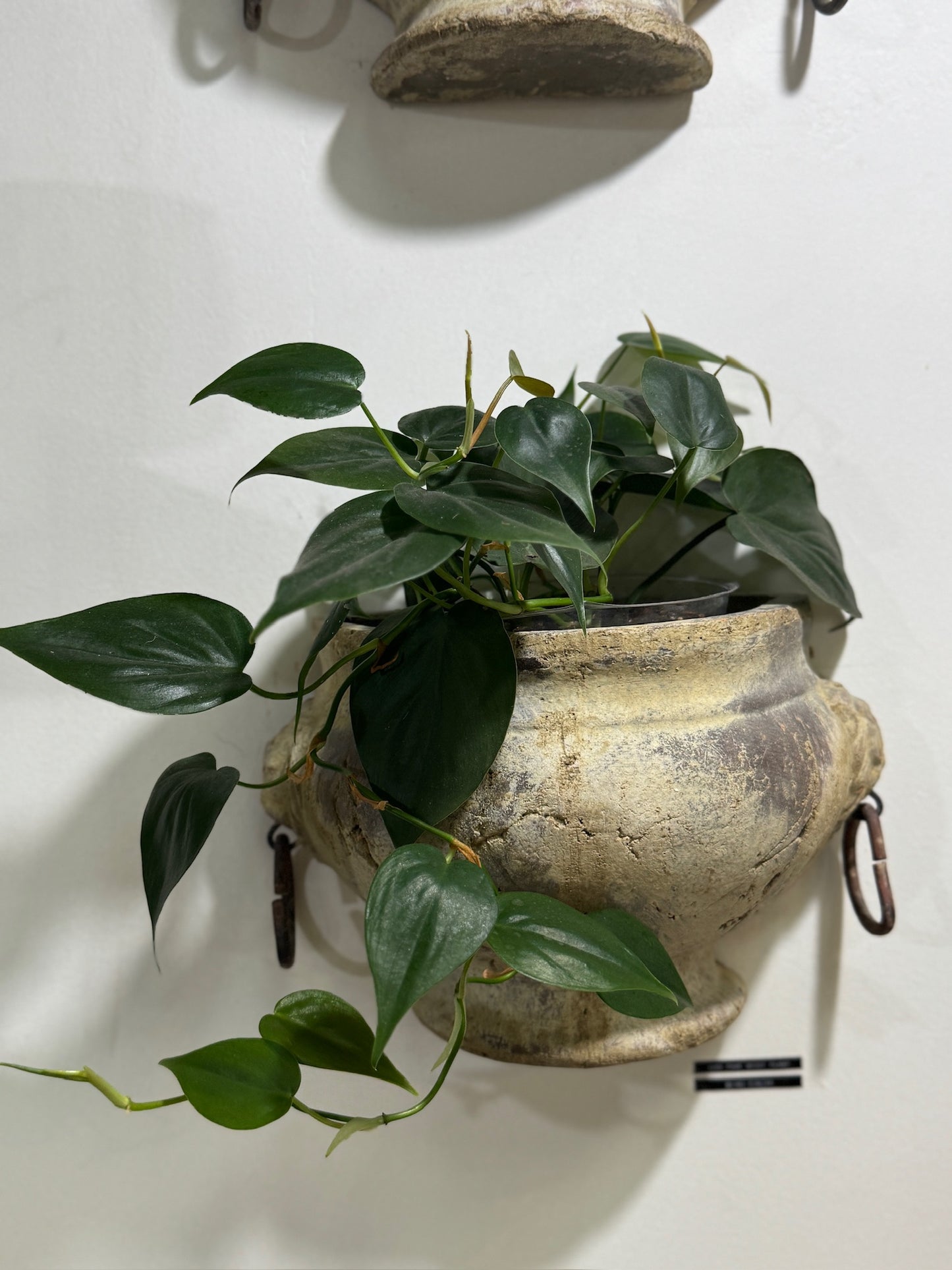 Pair of Aged Mediterranean-Style Wall Planters with Iron Ring Handles – Rustic Half-Moon Pottery Vessels