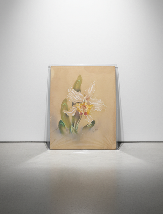 1940s Tip Freeman hand-painted floral artwork from Honolulu, signed original illustration on cardboard with vibrant botanical detail — Hommes and Gardens, Wallscape Collection, Objects, Visual Artwork, Drawings and Illustrations, Decorative Objects, Vintage Hawaiian Art, Floral Painting, Collectible Wall Decor, Mid-century Artwork, Artistic Home Styling.