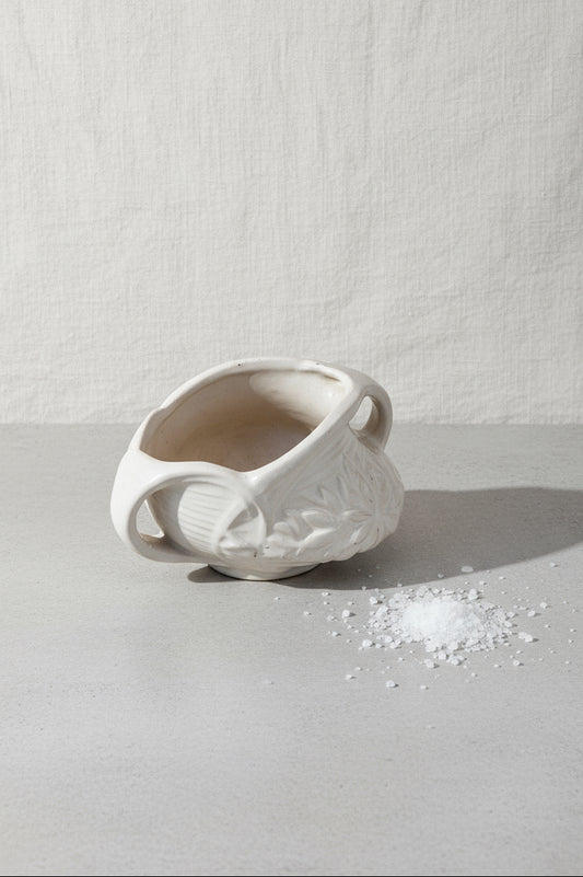 Vintage McCoy “Daisy” pattern open sugar bowl in classic white ceramic, featuring timeless floral design and vintage charm — Hommes and Gardens, Home Decor Collection, Sugar Bowls, Vintage Kitchenware, McCoy Pottery, White Ceramic Decor, Retro Tableware, Collectible Pottery.