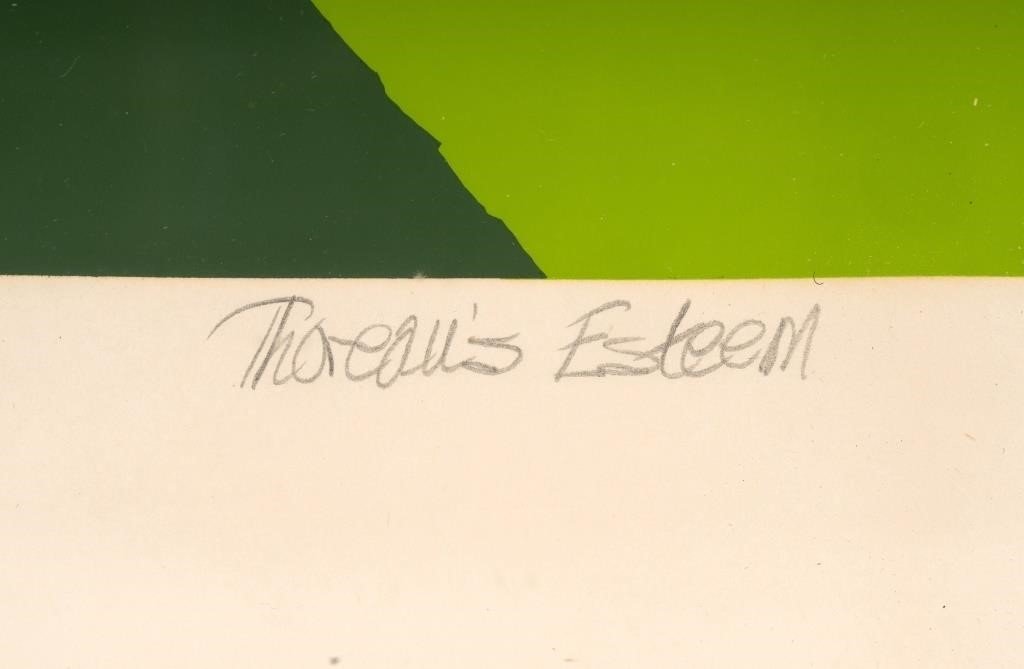 "Thomas's Esteem" - Limited Edition Silkscreen by Thomas Lahy