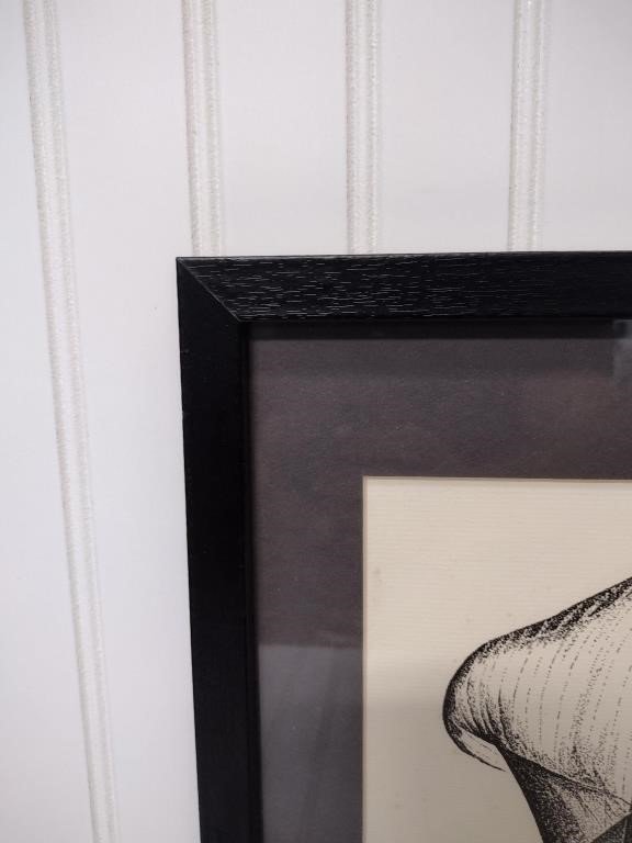 Vintage Framed Wall Art - Set of 2 pieces