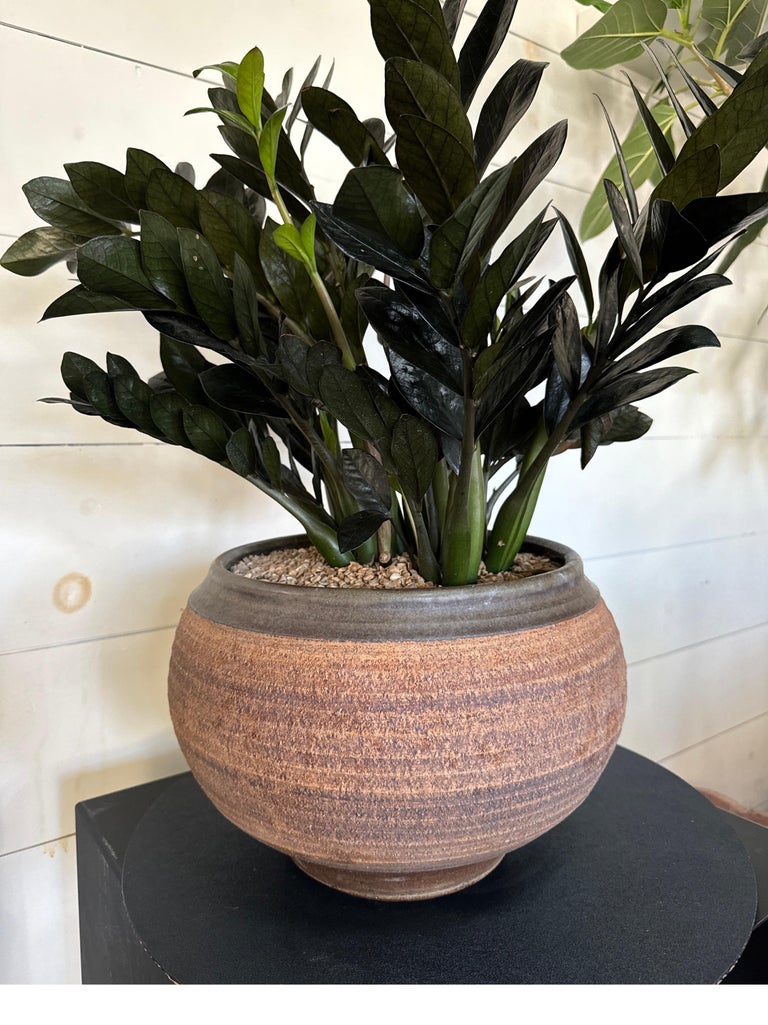 Bob Kinzie Mid Century Ribbed Rich Brown Stoneware Pot