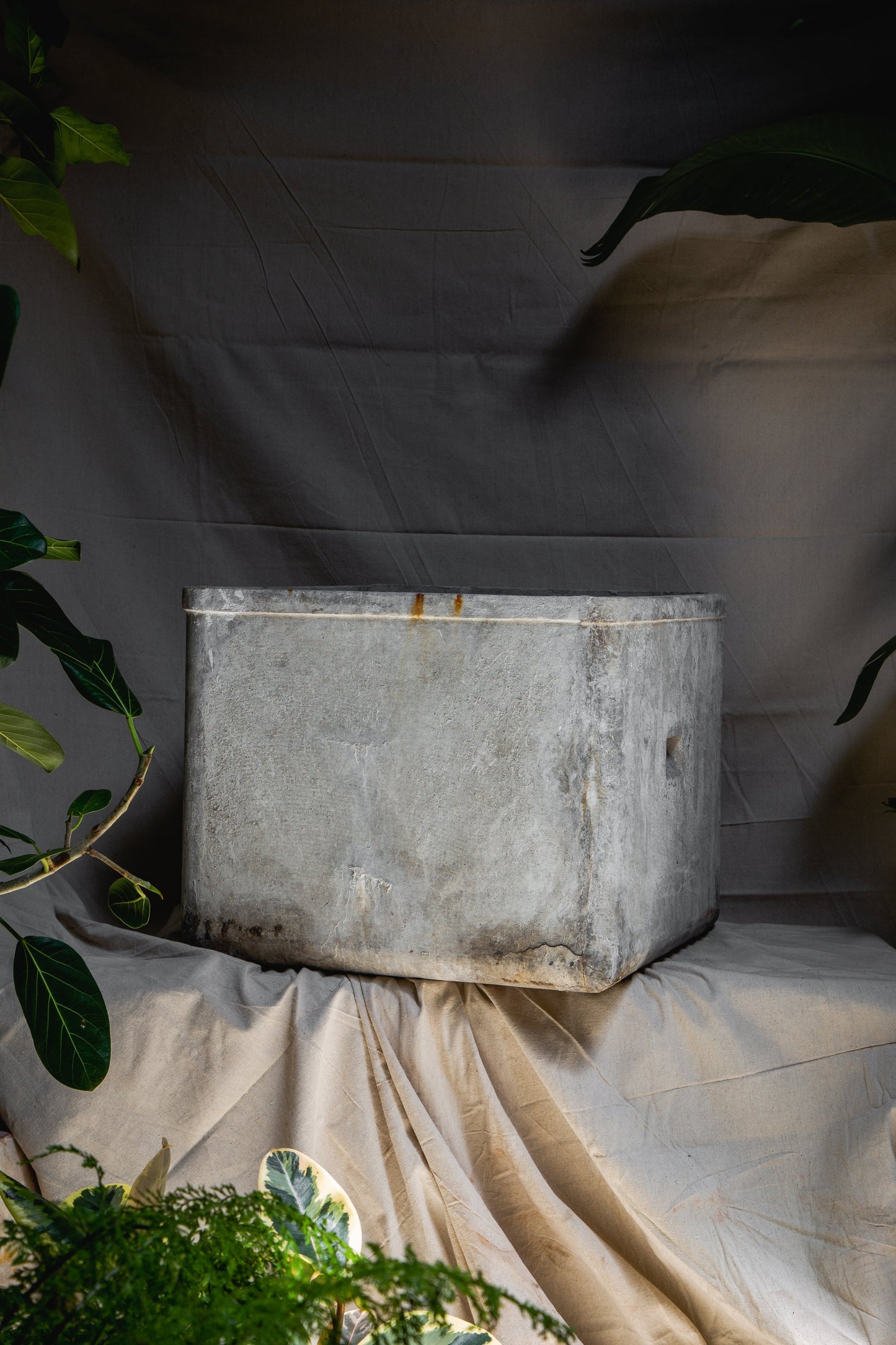 Willy Guhl Square Planter