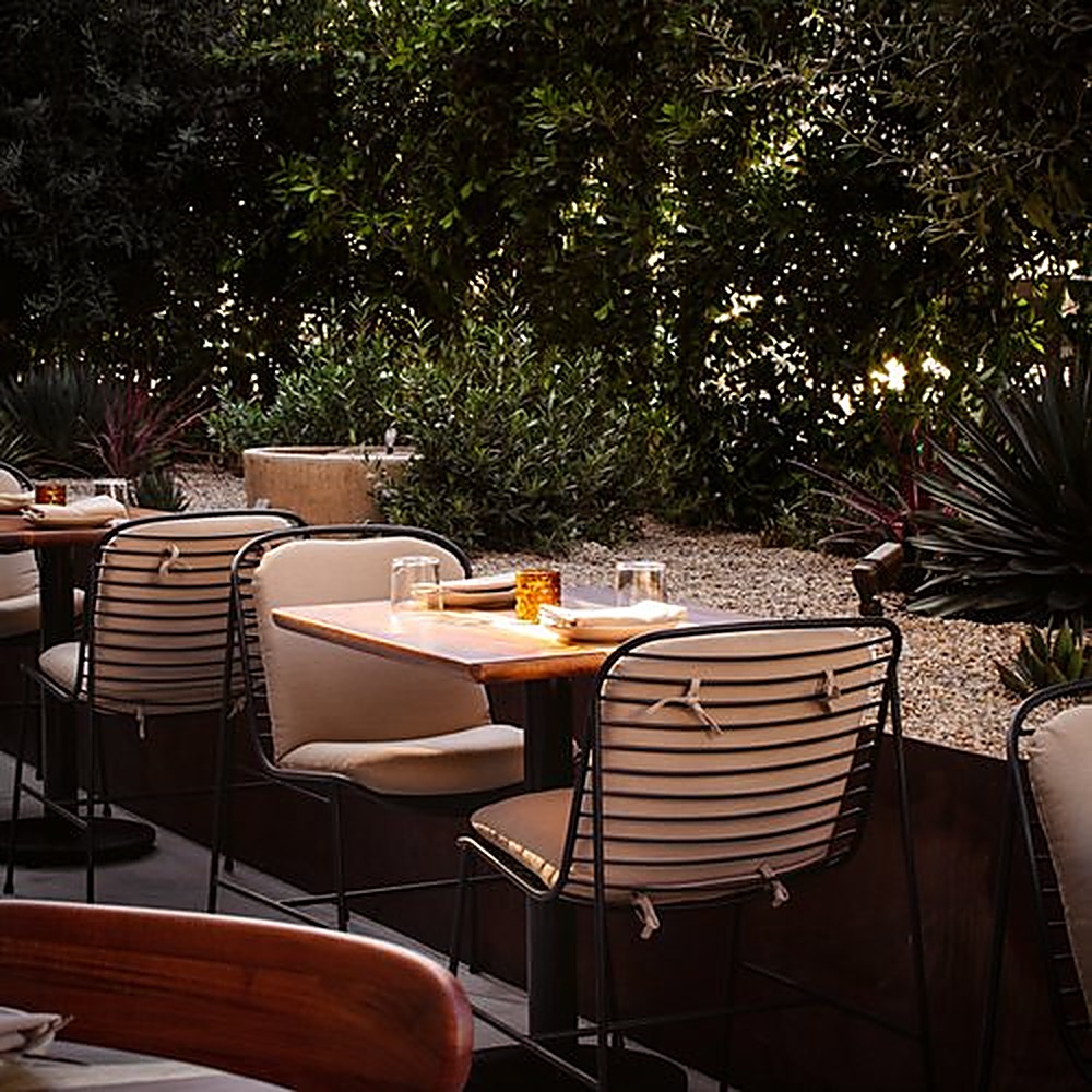 Sycamore garden, Los Angeles landscape design by Hommes + Gardens, view 7