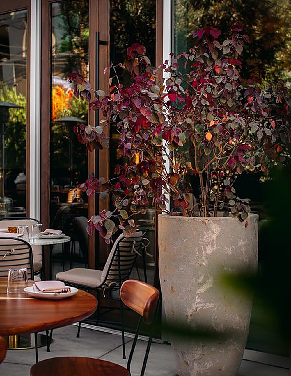 Sycamore garden, Los Angeles landscape design by Hommes + Gardens, view 2