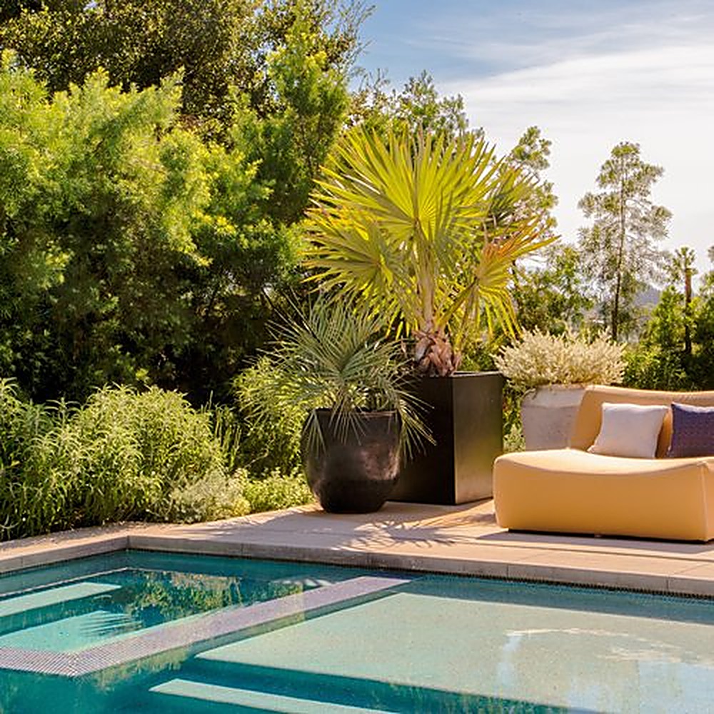 Encino Hills garden, Los Angeles landscape design by Hommes + Gardens, view 4