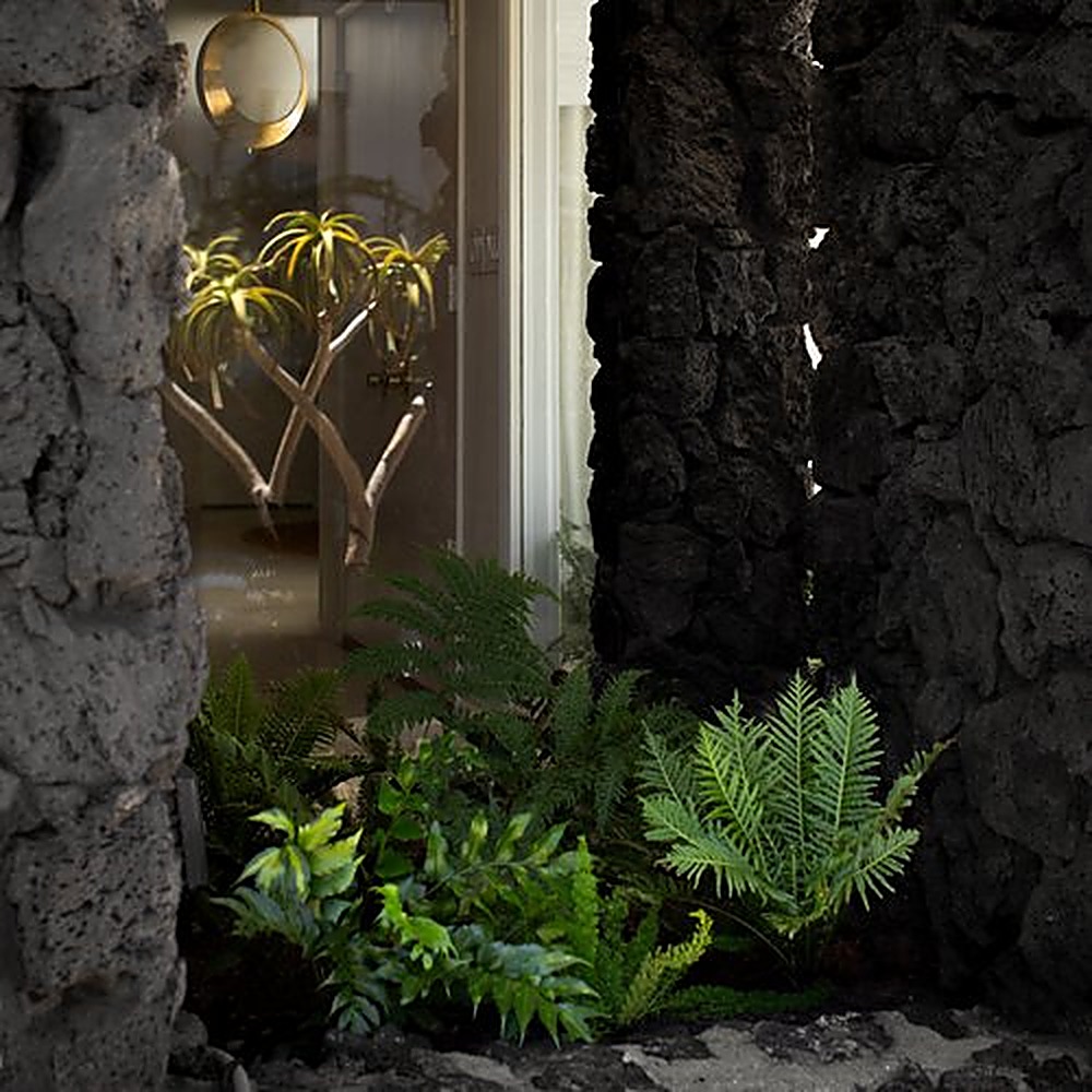 Carla Ridge garden, Los Angeles landscape design by Hommes + Gardens, view 4