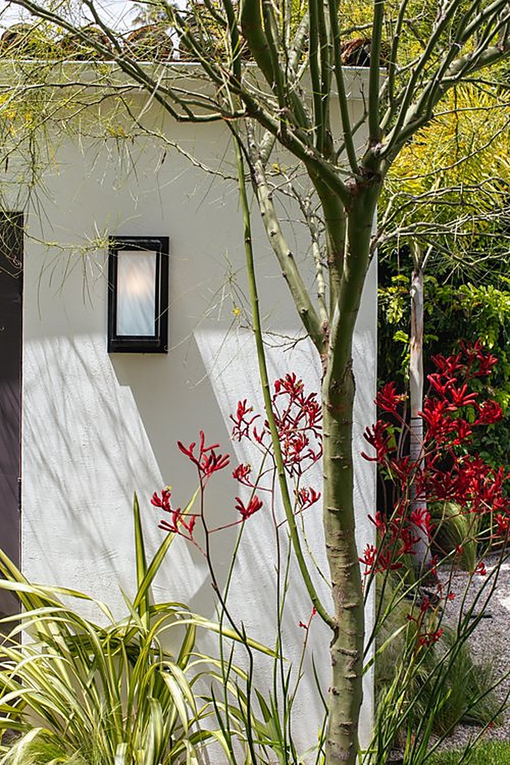 McCadden garden, Los Angeles landscape design by Hommes + Gardens, view 6