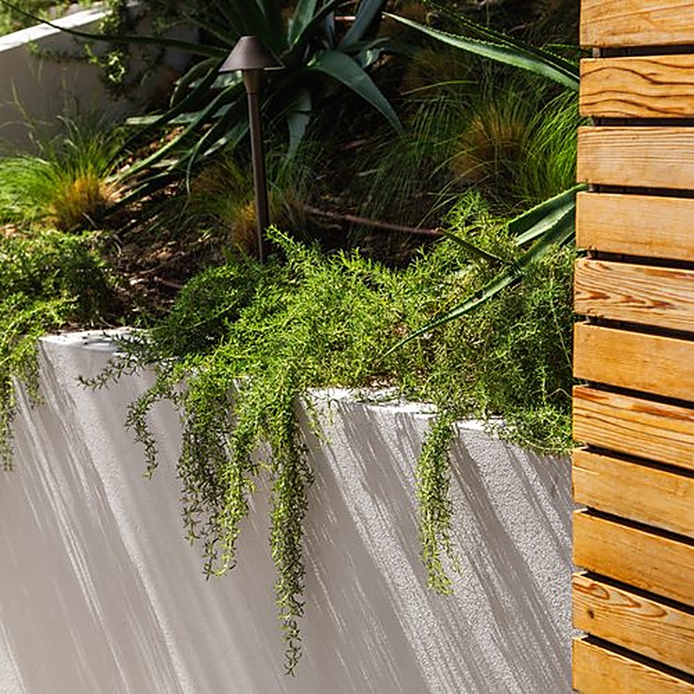 Encino Hills garden, Los Angeles landscape design by Hommes + Gardens, view 2