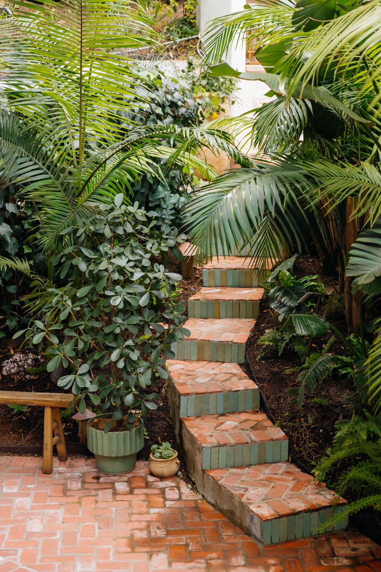 Queens garden, Los Angeles landscape design by Hommes + Gardens, view 2