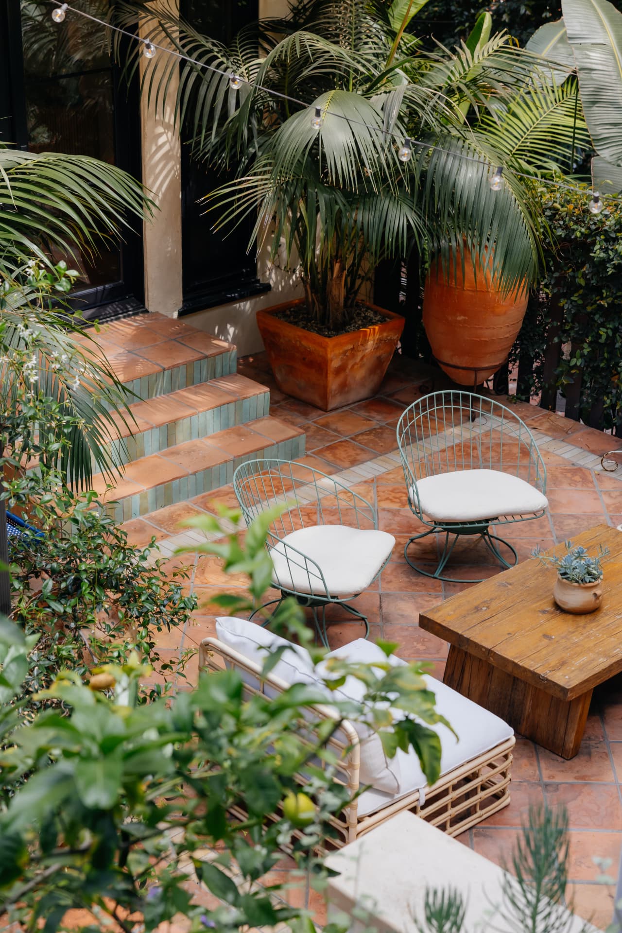 Queens, Los Angeles landscape design project by Hommes + Gardens