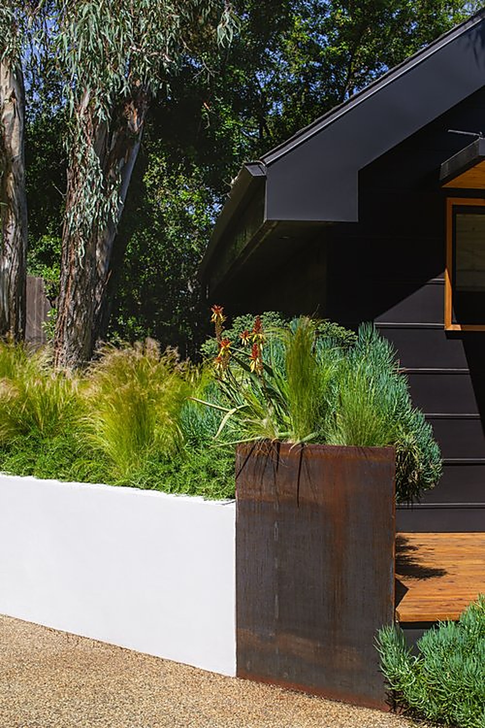 Encino Hills garden, Los Angeles landscape design by Hommes + Gardens, view 5