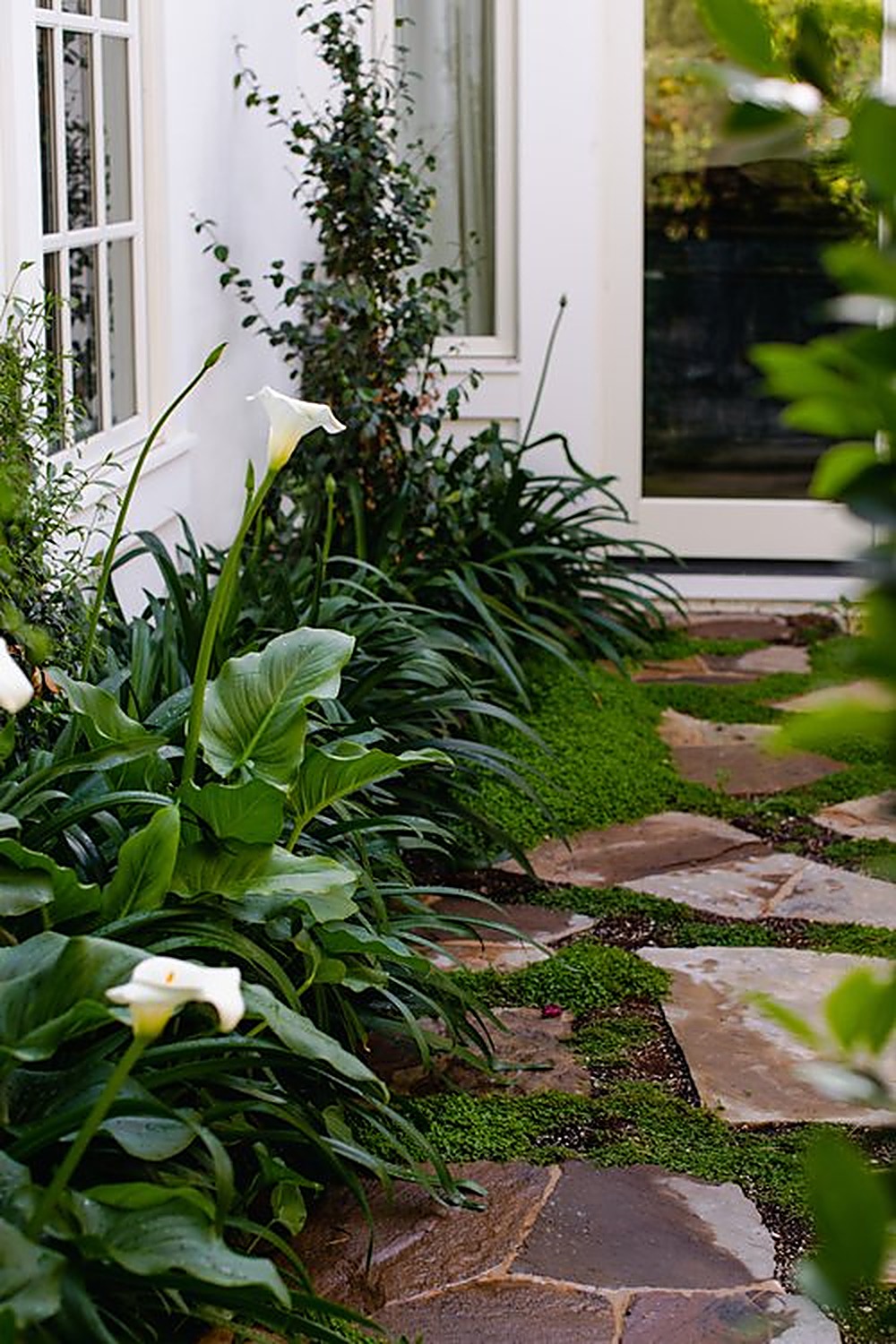 Westlake garden, Los Angeles landscape design by Hommes + Gardens, view 5