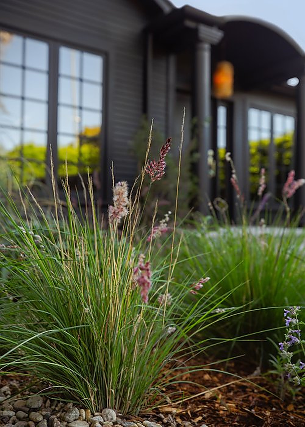 Fuller garden, Los Angeles landscape design by Hommes + Gardens, view 4