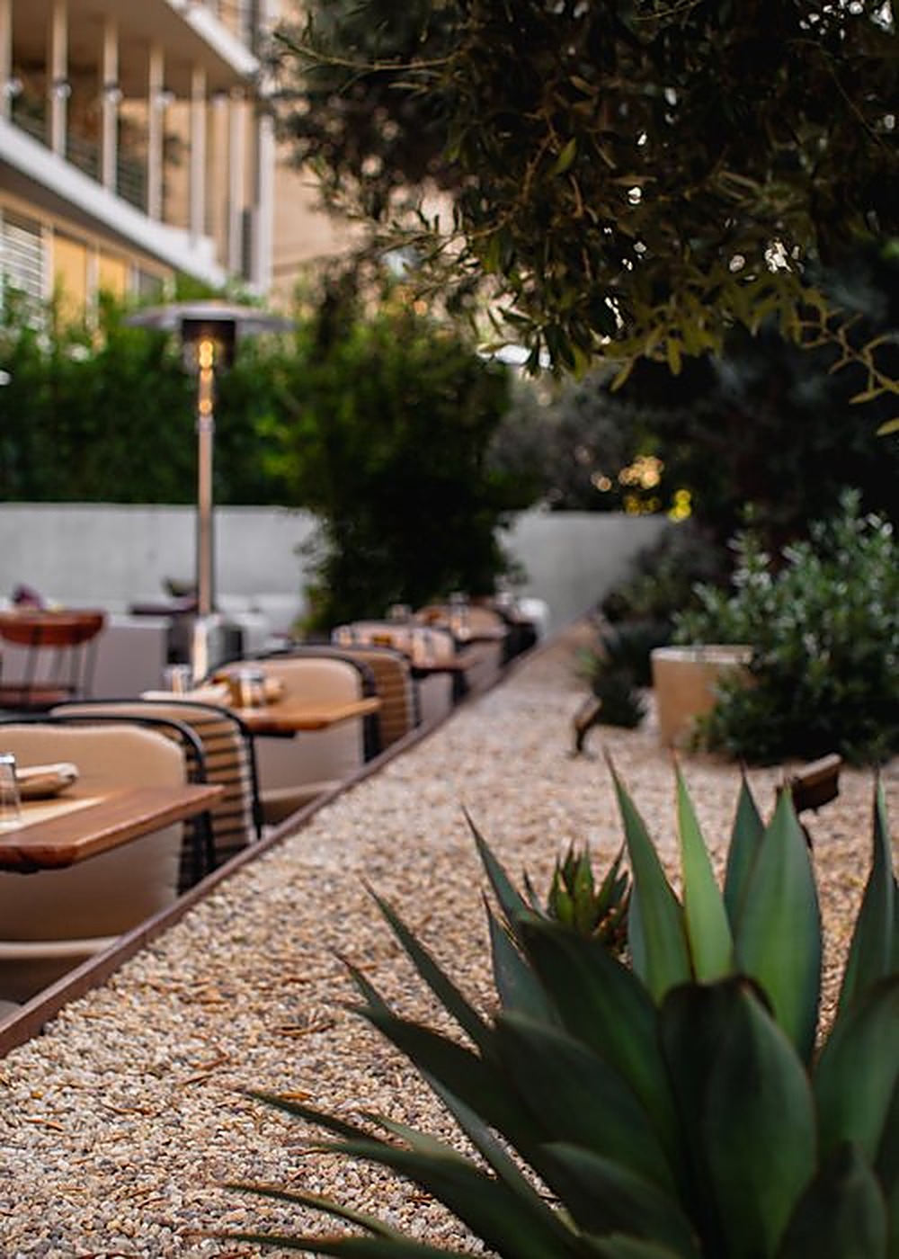 Sycamore garden, Los Angeles landscape design by Hommes + Gardens, view 3