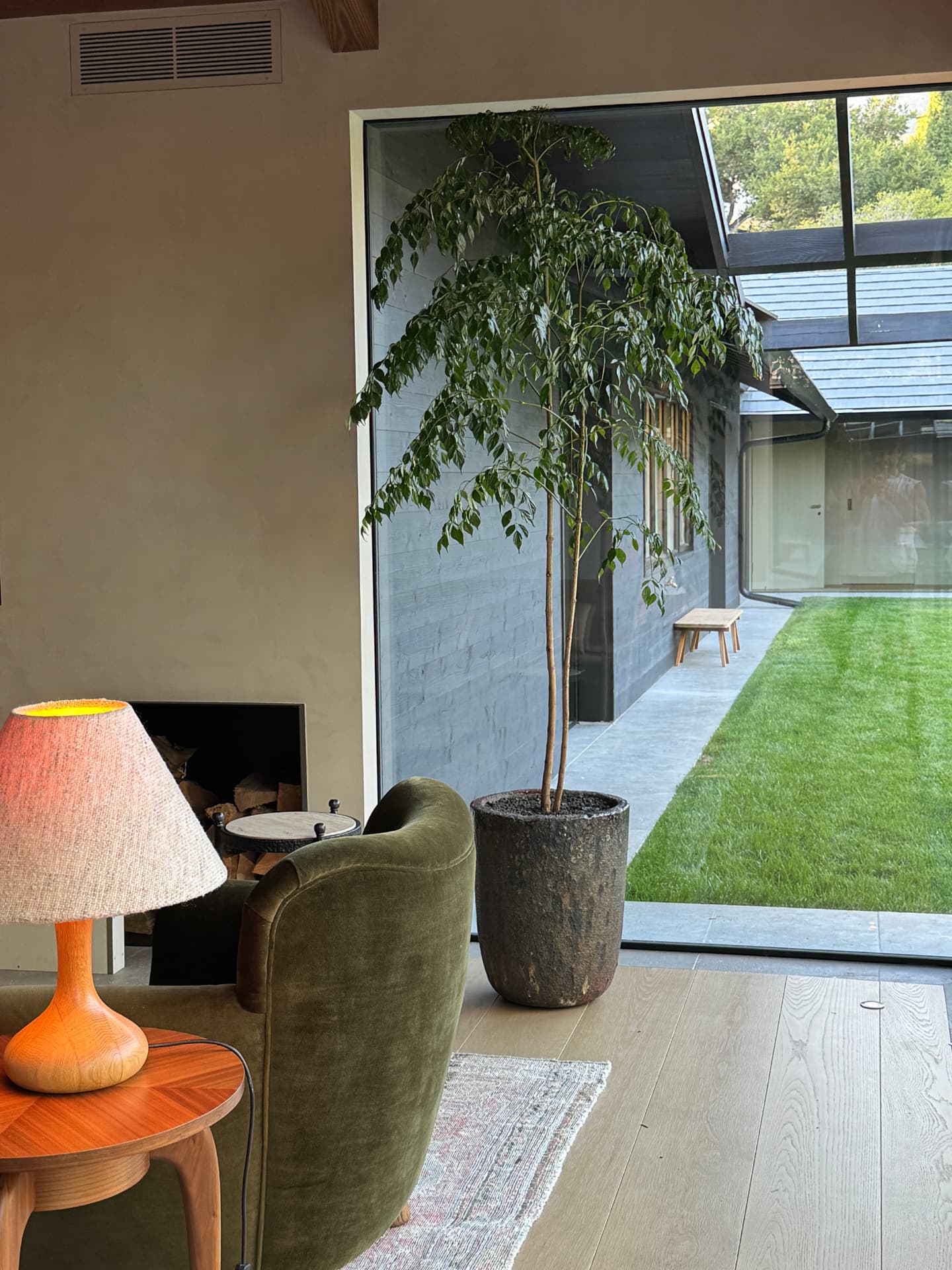 Weeping ficus in a rough stone planter at a floor-to-ceiling window onto a courtyard lawn