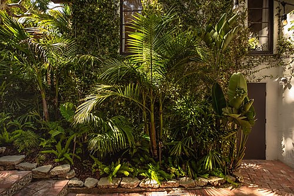 Queens garden, Los Angeles landscape design by Hommes + Gardens, view 11