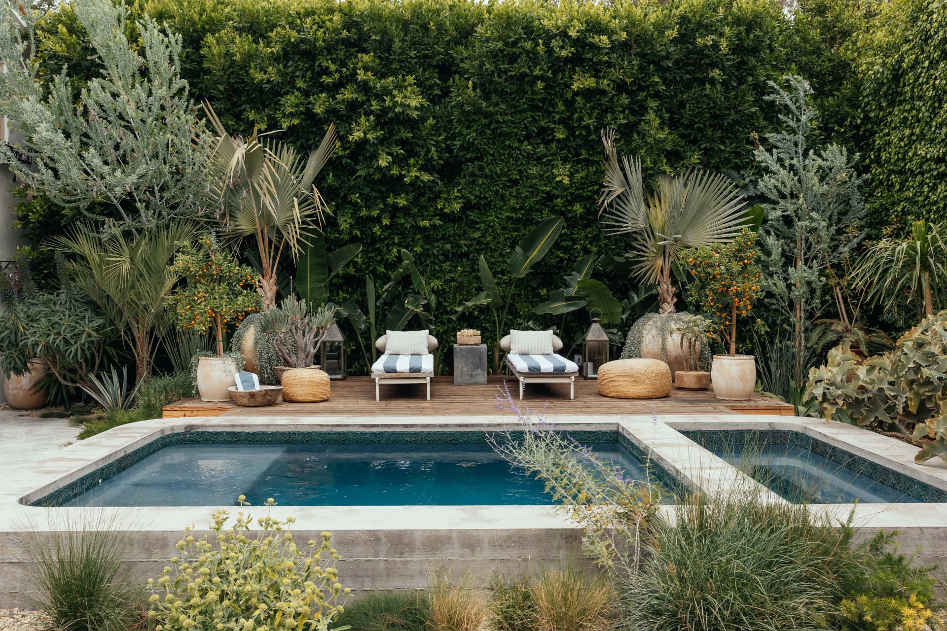 Outpost garden, Los Angeles landscape design by Hommes + Gardens, view 7