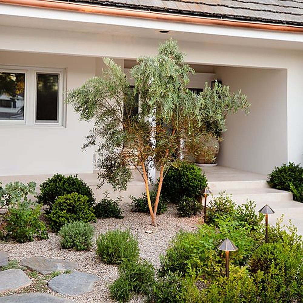 Valley Vista garden, Los Angeles landscape design by Hommes + Gardens, view 7