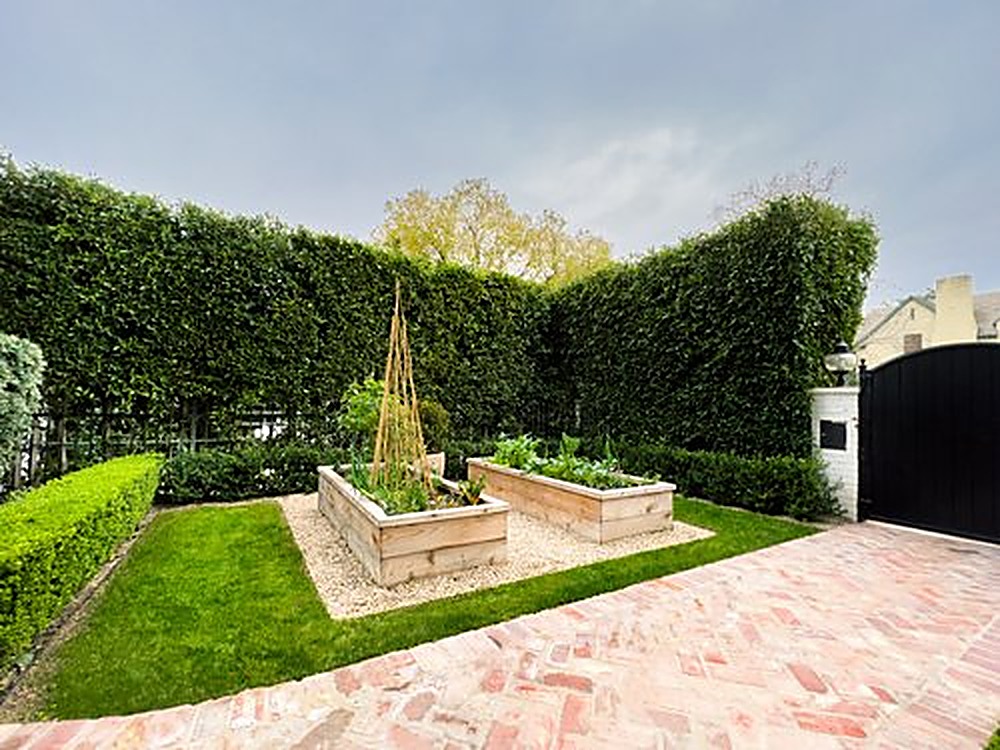 Ogden garden, Los Angeles landscape design by Hommes + Gardens, view 5