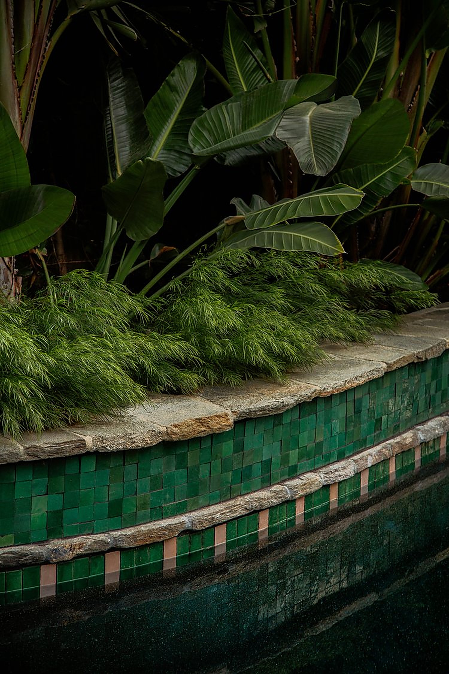 Hollywood Cottage, Los Angeles landscape design project by Hommes + Gardens