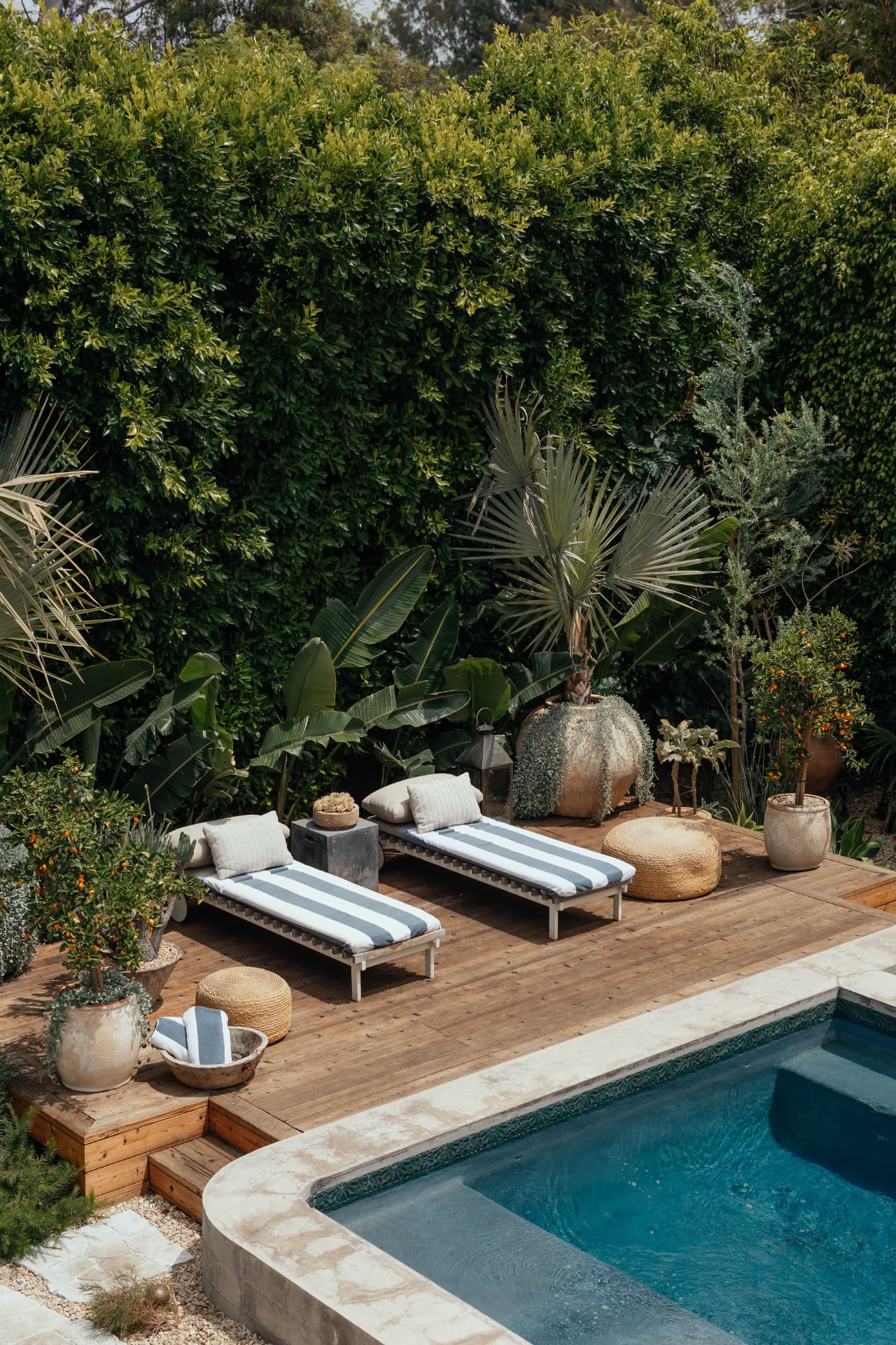 Outpost garden, Los Angeles landscape design by Hommes + Gardens, view 1