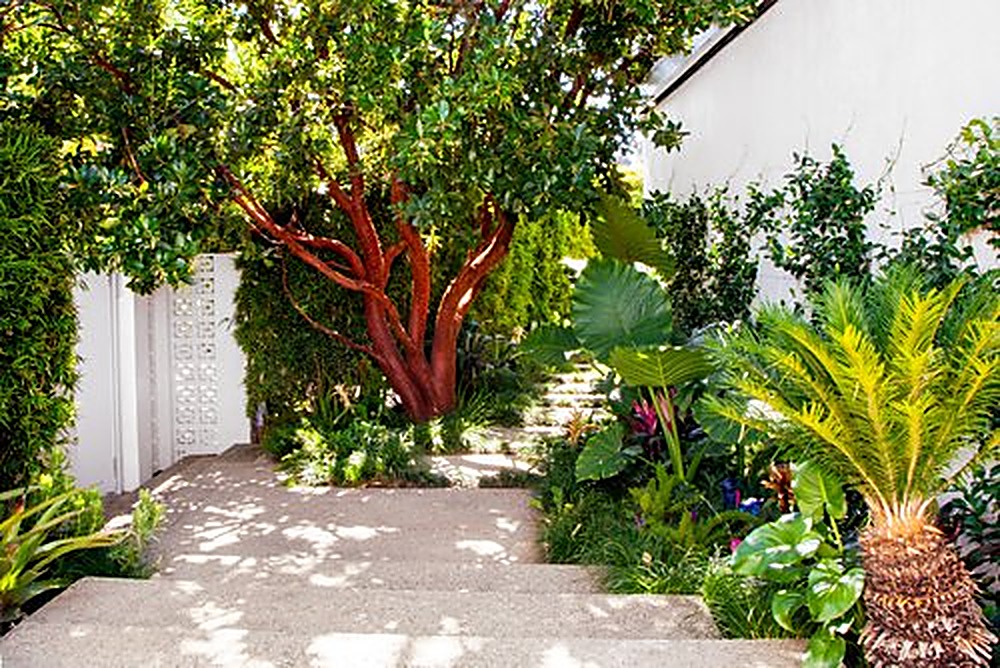 Holly Oak garden, Los Angeles landscape design by Hommes + Gardens, view 3