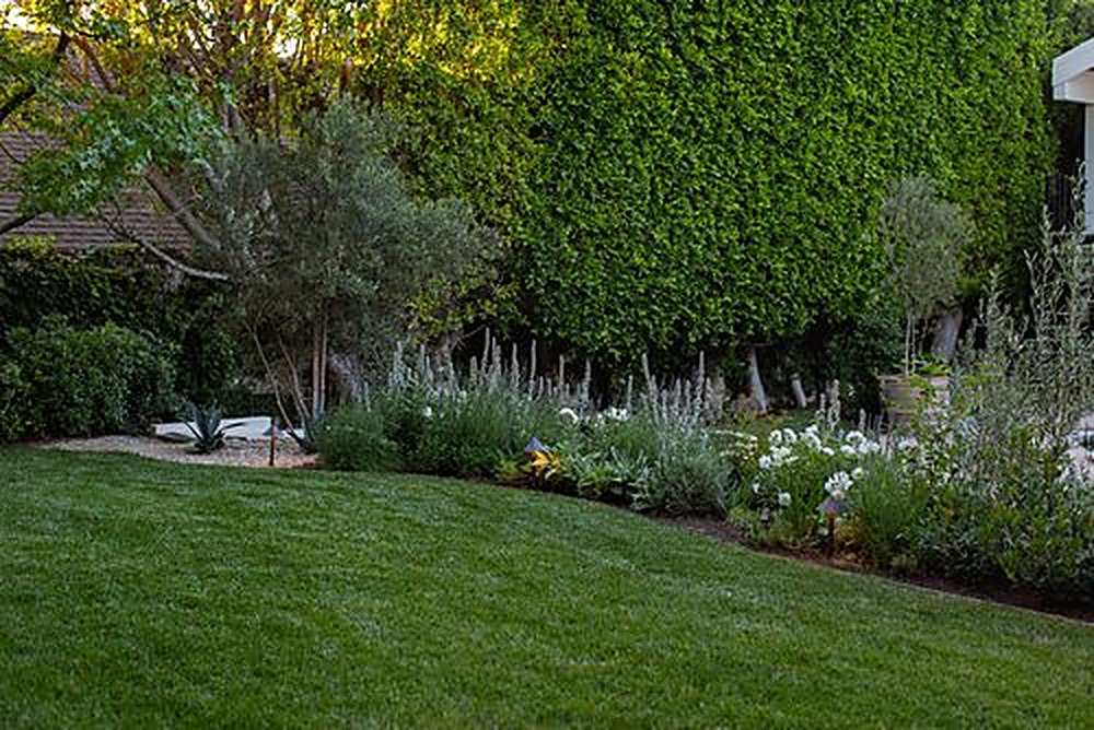 Valley Vista garden, Los Angeles landscape design by Hommes + Gardens, view 5