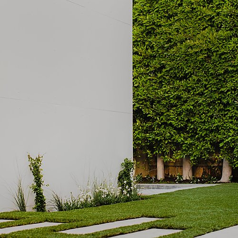 El Camino garden, Los Angeles landscape design by Hommes + Gardens, view 5