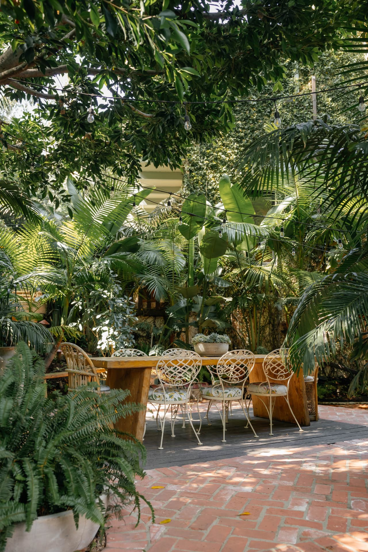 Queens garden, Los Angeles landscape design by Hommes + Gardens, view 4