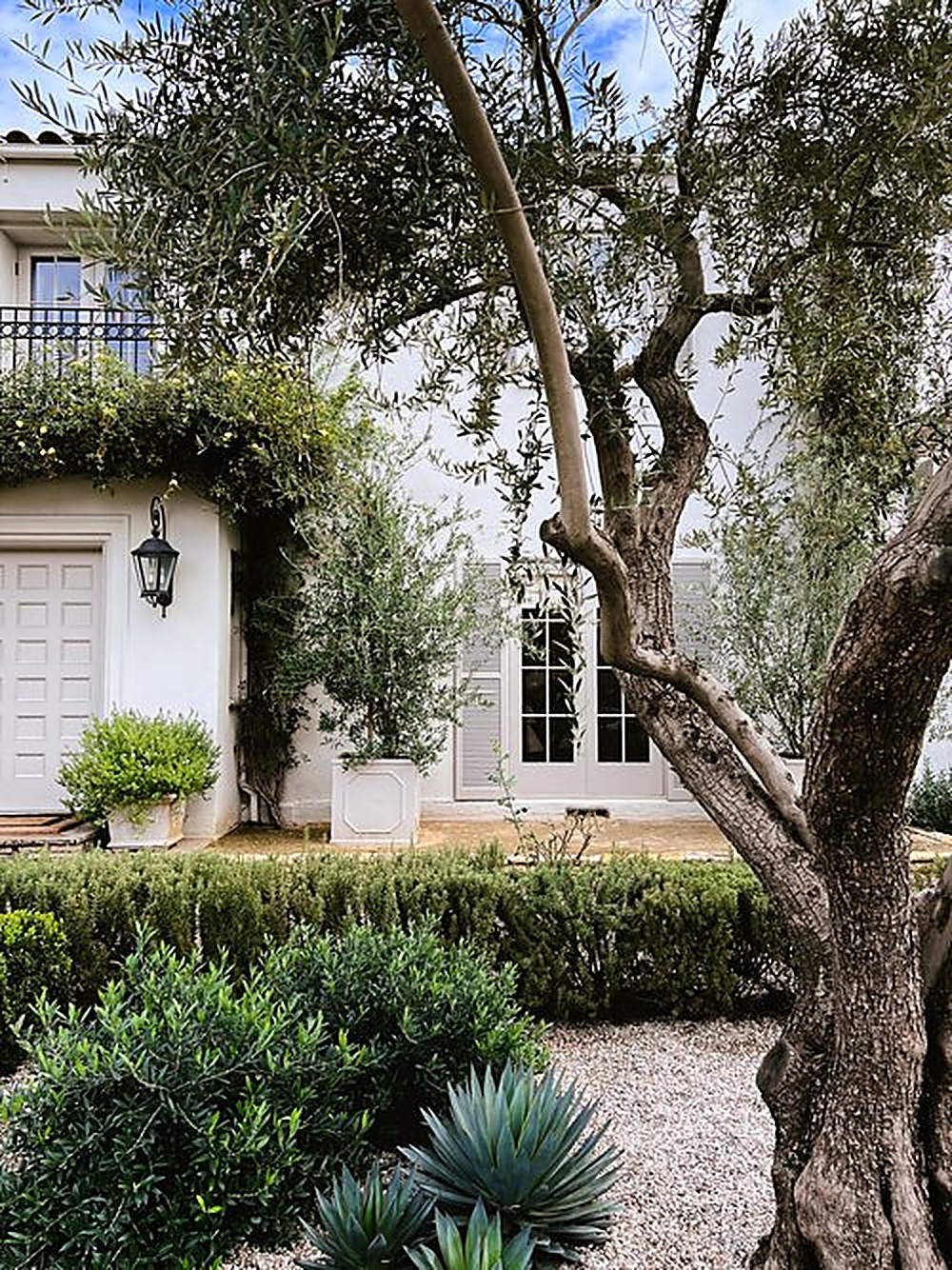 Windsor garden, Los Angeles landscape design by Hommes + Gardens, view 4
