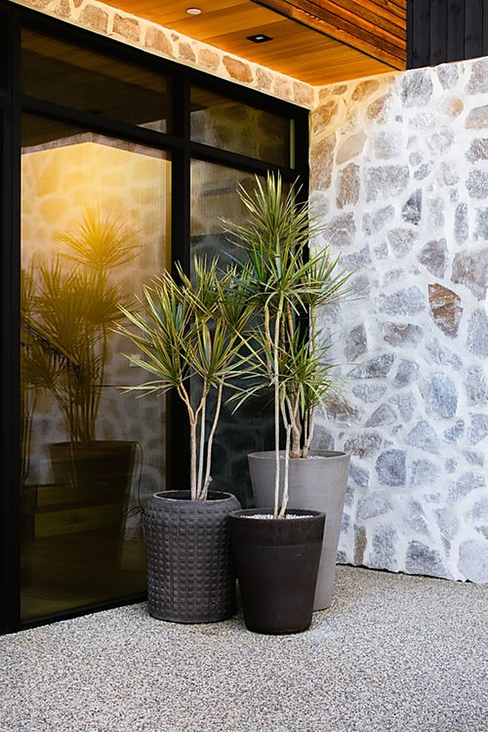 Encino Hills garden, Los Angeles landscape design by Hommes + Gardens, view 3