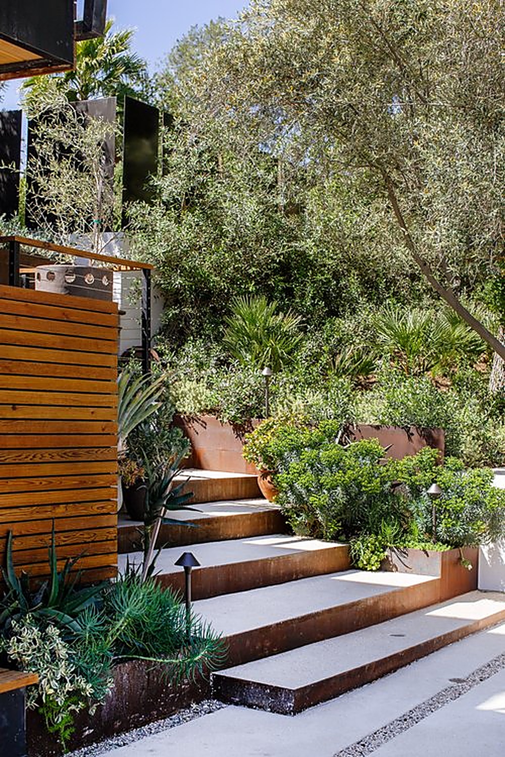 Encino Hills garden, Los Angeles landscape design by Hommes + Gardens, view 7