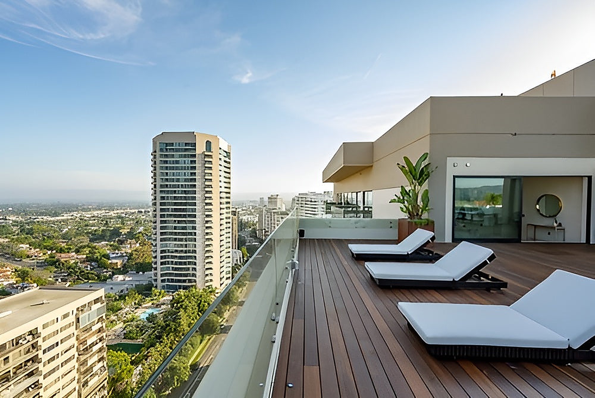 Wilshire Penthouse garden, Los Angeles landscape design by Hommes + Gardens, view 5