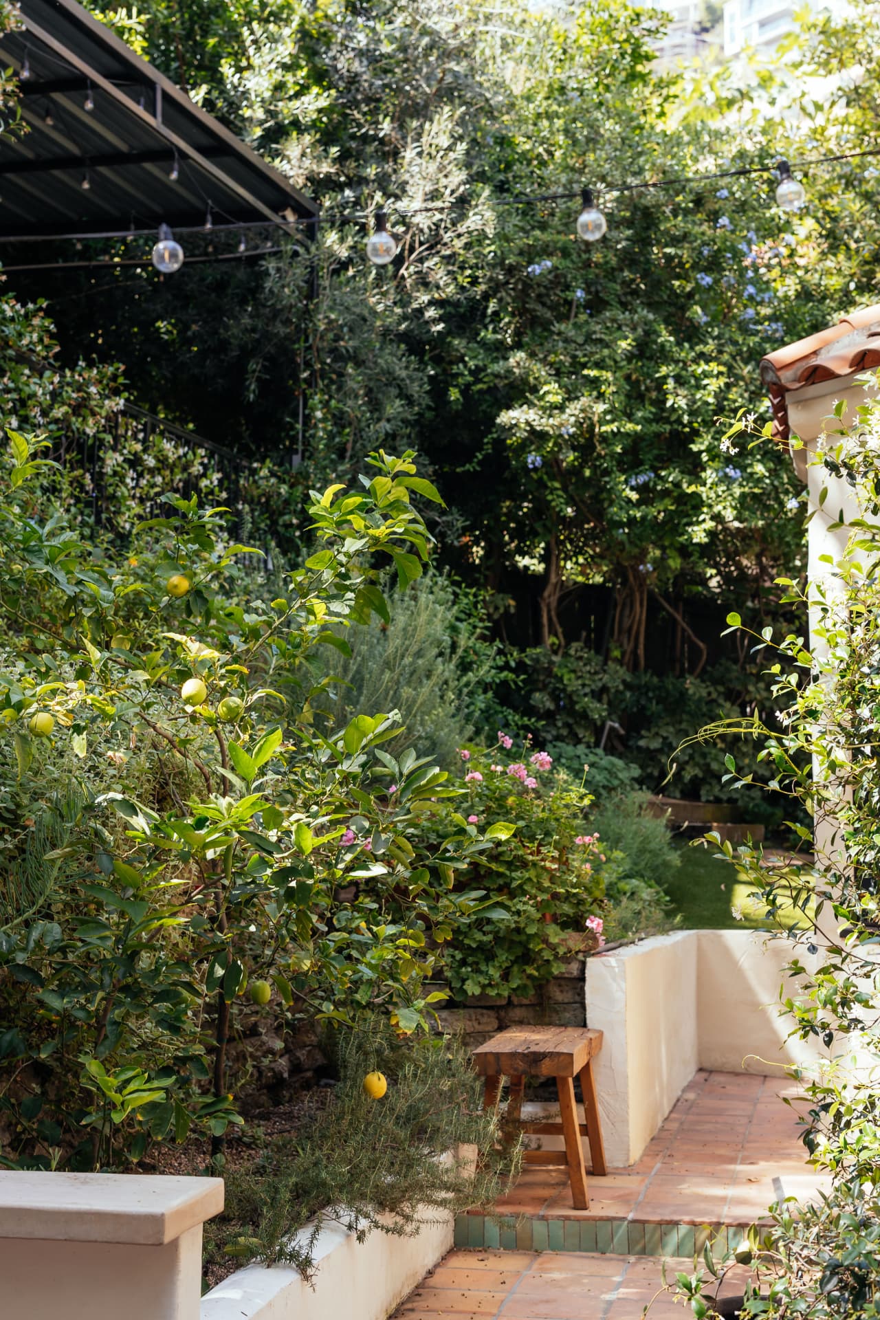Queens garden, Los Angeles landscape design by Hommes + Gardens, view 7