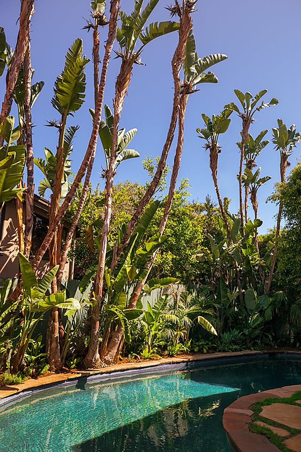 Miami Way garden, Los Angeles landscape design by Hommes + Gardens, view 3