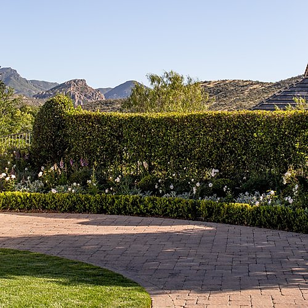 Westlake garden, Los Angeles landscape design by Hommes + Gardens, view 1