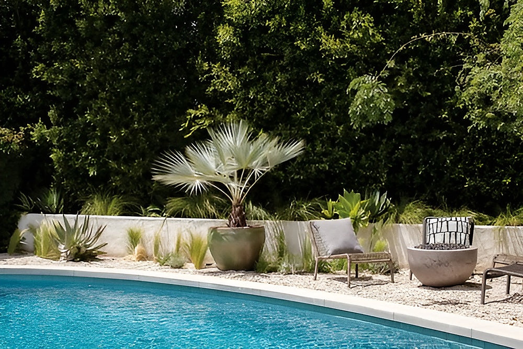 McCadden garden, Los Angeles landscape design by Hommes + Gardens, view 1