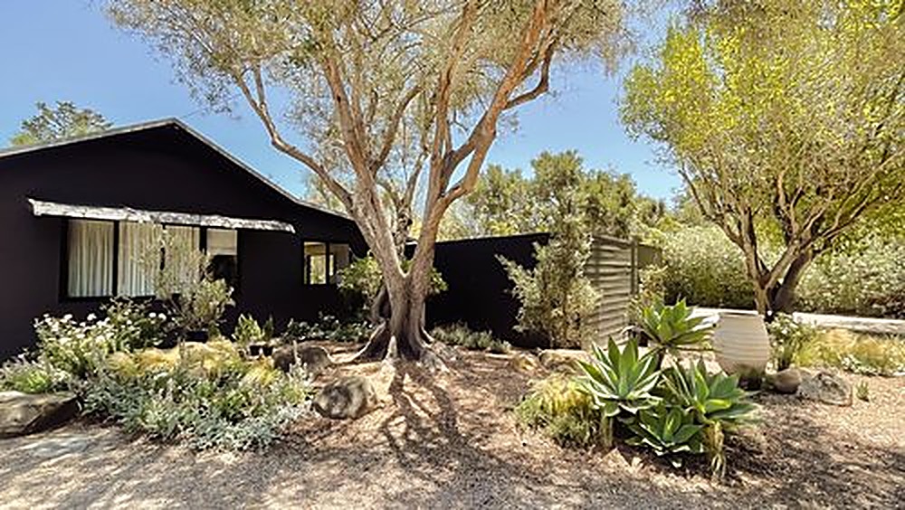 San Ysidro garden, Los Angeles landscape design by Hommes + Gardens, view 5