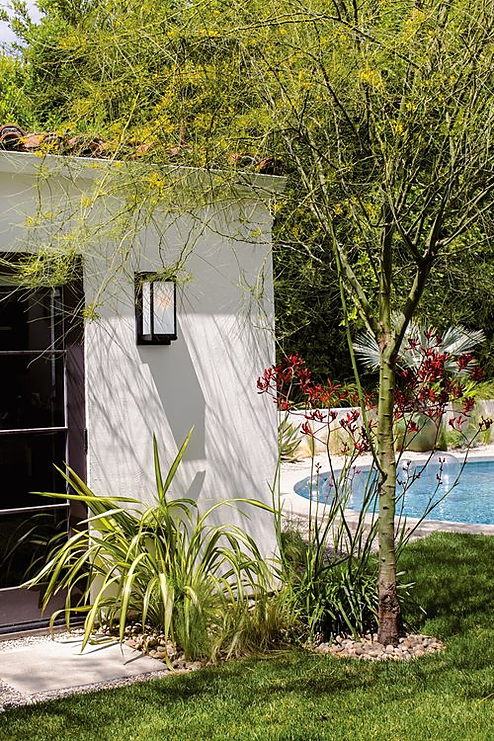 McCadden garden, Los Angeles landscape design by Hommes + Gardens, view 4