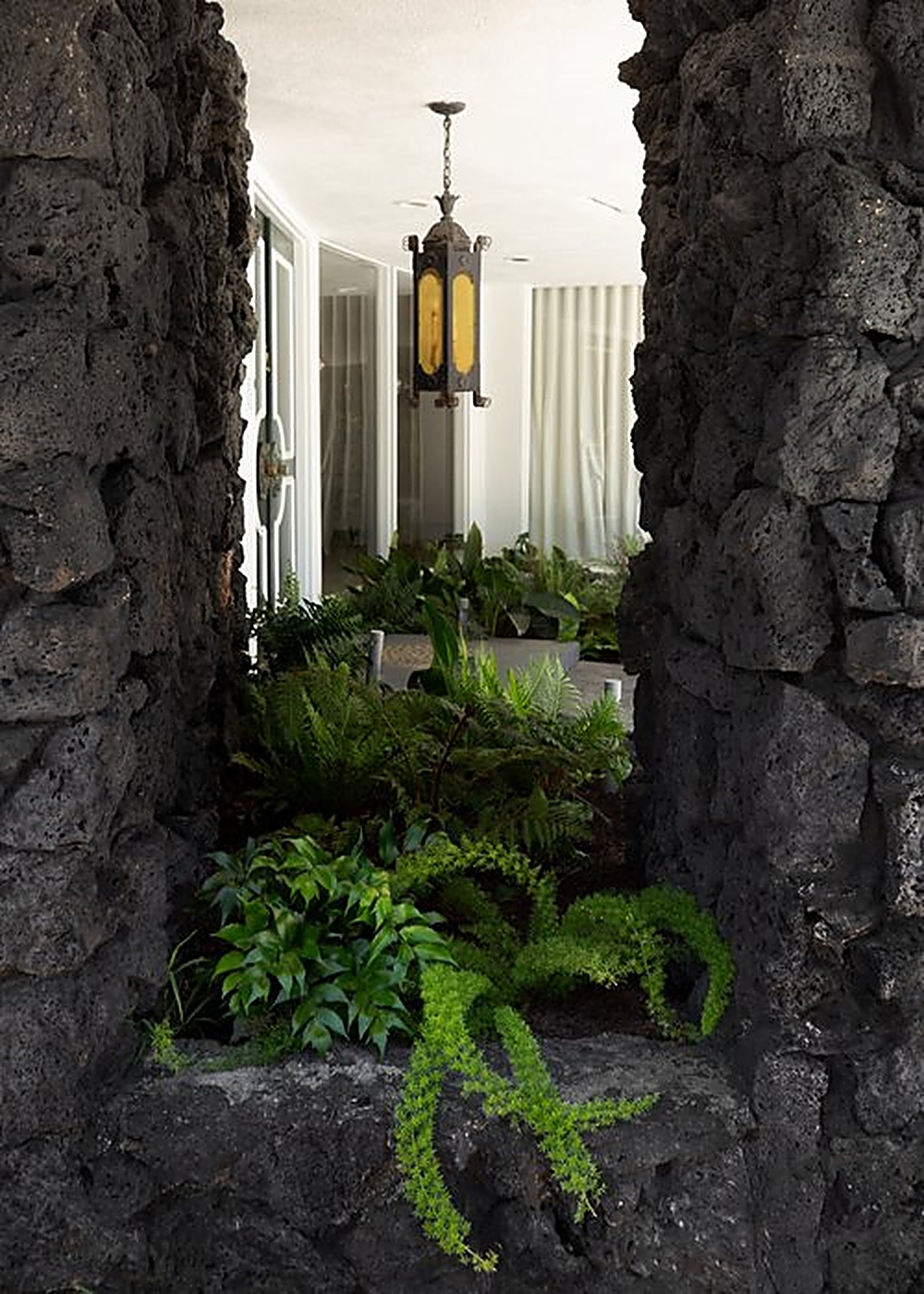 Carla Ridge garden, Los Angeles landscape design by Hommes + Gardens, view 2