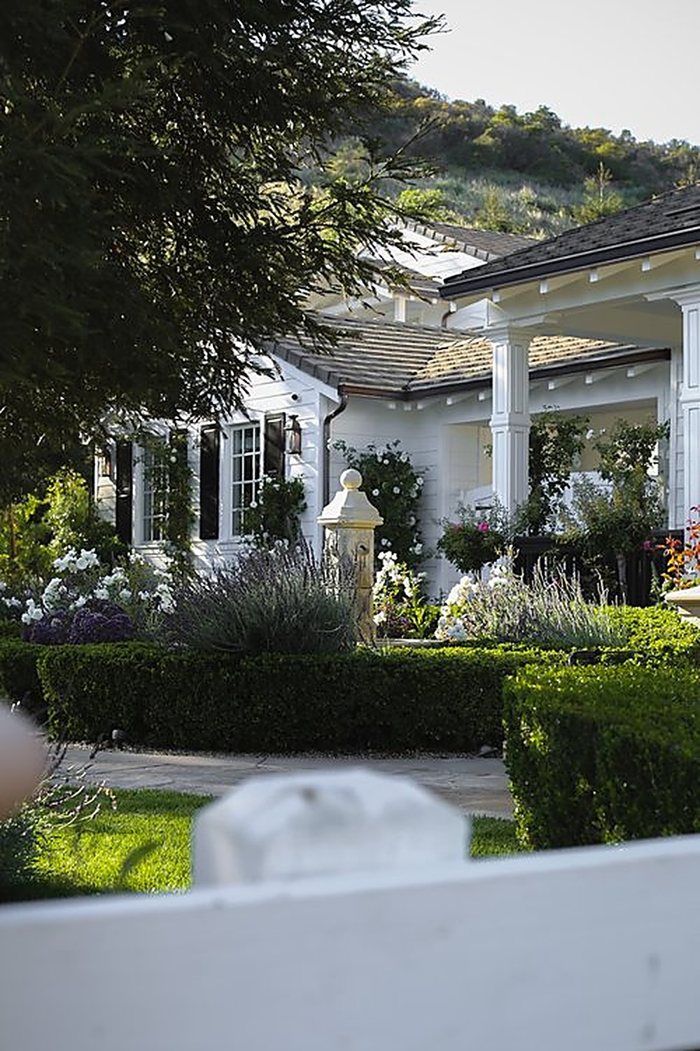 Westlake garden, Los Angeles landscape design by Hommes + Gardens, view 3